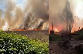 Impactante incendio forestal es registrado en la comuna de Peñaflor