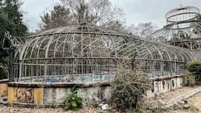 Lleva más de 100 años abandonado: iniciativa busca rescatar el invernadero del Parque Quinta Normal