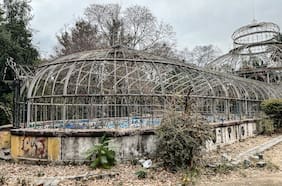 Lleva más de 100 años abandonado: iniciativa busca rescatar el invernadero del Parque Quinta Normal