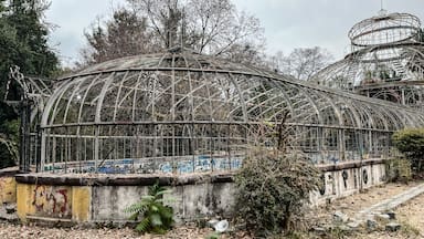 Lleva más de 100 años abandonado: iniciativa busca rescatar el invernadero del Parque Quinta Normal