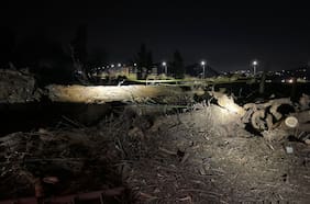 Trabajador muere aplastado por árbol que talaba en fundo de Lo Barnechea