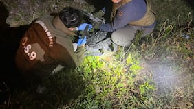 La encontraron en una zanja: OS-9 de Carabineros recupera Uzi extraviada en Puerto Montt e institución desarrolla sumario