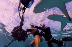 Buceadora es atacada por un grupo de tiburones mientras grababa en un arrecife de coral
