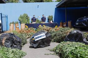 Intendencia de La Araucanía presenta querella contra 49 comuneros mapuche por tráfico de drogas