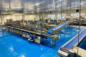 Orizon, la división pesquera de Empresas Copec, inaugura planta que multiplicará por seis la producción de conservas premium de jurel