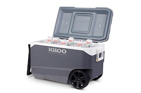 Sernac emite alerta para coolers con ruedas por riesgos de amputación y aplastamiento de las yemas de los dedos