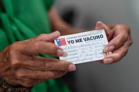 El debate que abrió Mañalich e incomodó a La Moneda: ¿Lograremos la inmunidad de rebaño en junio?