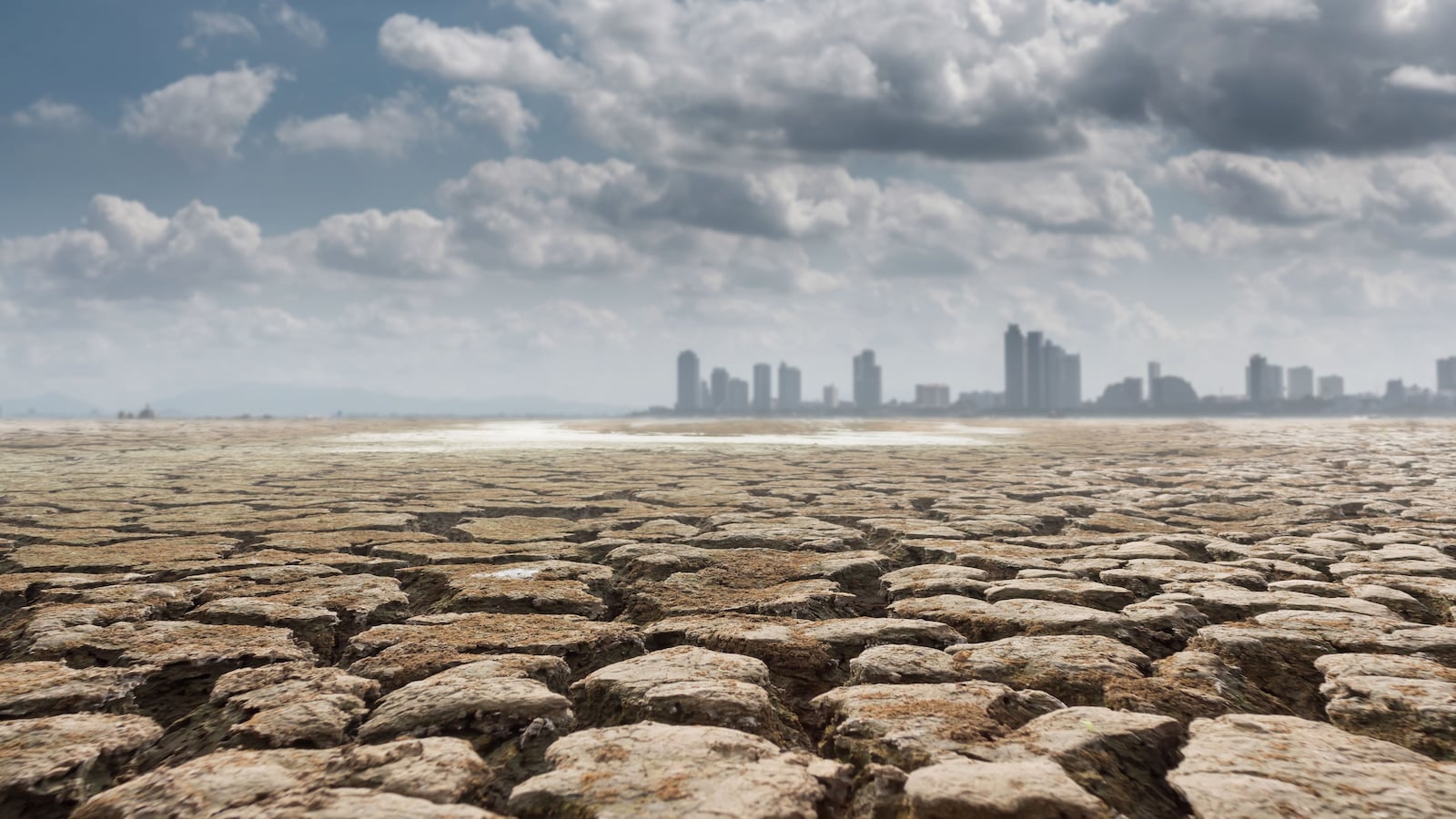 El doble papel de la IA frente al cambio climático: herramienta y presión sobre los recursos