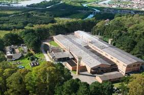 CMPC baila samba: amplía su presencia en Brasil y completa sus líneas de negocios