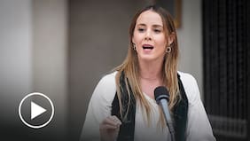 Sedini acusa “sabotaje legislativo” de la oposición por megarreforma