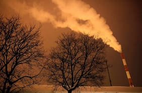 Cambios en entrega de recursos de ANID ofusca a la comunidad científica: “Antes se garantizaba investigación en áreas prioritarias”