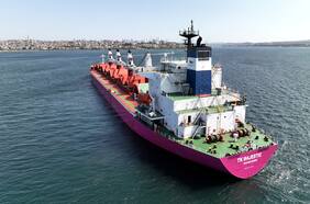 Los alcances de la decisión de Rusia de suspender el acuerdo de exportación de granos ucranianos