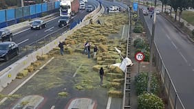 Tragedia en la Autopista Central: adulta mayor muere tras caída de fardos desde camión en Renca