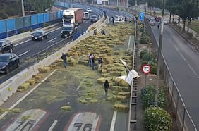 Tragedia en la Autopista Central: adulta mayor muere tras caída de fardos desde camión en Renca