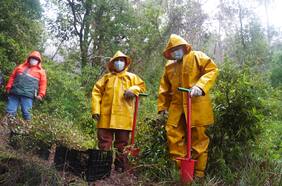 Los árboles nativos que buscan proteger el agua: relatos desde La Araucanía