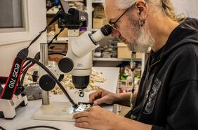 Fascinante estudio chileno descubre 370 mil fósiles que explica cómo se ha explotado la costa chilena