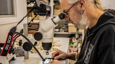 El valor de la investigación en Chile