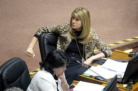 Senadora Rincón confirma que votación en sala del cuarto retiro de AFP será el próximo miércoles