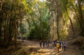 Día Nacional del Medio Ambiente: Un día para recordar lo que olvidamos
