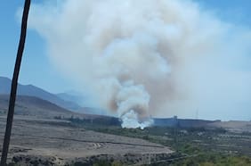 Declaran alerta roja en Freirina por incendio forestal cercano a infraestructura crítica