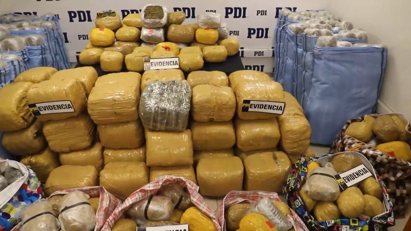 PDI incauta más de 800 kilos de cannabis en operativo contra estructura criminal en la Región Metropolitana
