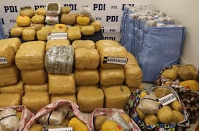 PDI incauta más de 800 kilos de cannabis en operativo contra estructura criminal en la Región Metropolitana