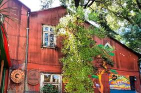 La venganza que terminó con el bar más emblemático de Valdivia