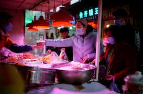 Zorros, tejones y perros: Científicos aseguran que el Covid se originó en el temible mercado de animales vivos de Wuhan