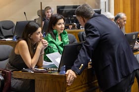 Ley antiinmigración clandestina: gobierno pierde control de comisión clave para apurar iniciativa