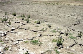Estudio revela que tres de los cinco principales proveedores de agua de camiones aljibe son agricultores de la misma provincia