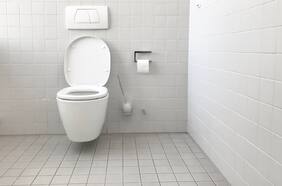 Cómo limpiar correctamente el WC