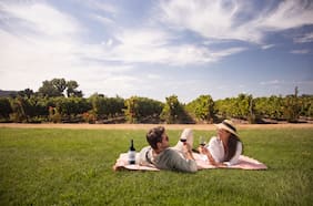 En MontGras, en Colchagua, el vino lo haces tú