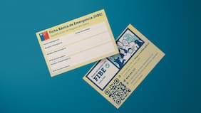 Presentan nueva ficha FIBE digital: promete acotar tiempos de aplicación y reducir errores de digitación