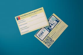 Presentan nueva ficha FIBE digital: promete acotar tiempos de aplicación y reducir errores de digitación