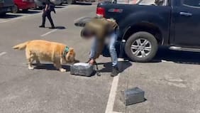OS-7 de Carabineros intercepta encomienda de droga en Temuco y detiene a dos personas