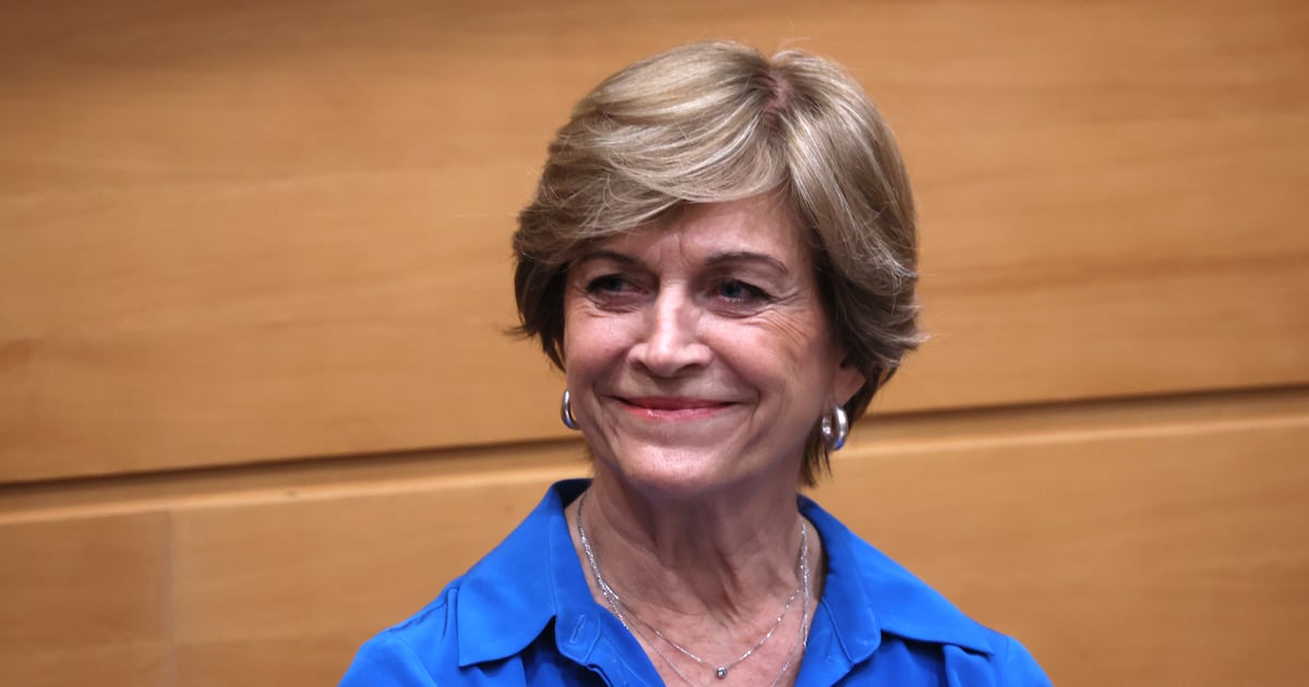 La UDI y su red profesional: ¿un giro estratégico o un intento de control programático?