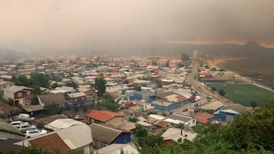 Incendios forestales: Entel, Movistar y Wom activan planes de emergencia y apoyo en Ñuble y Biobío