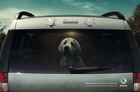 Tuitero instala debate en torno al peligro de dejar mascotas en el auto