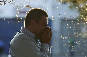 Médicos estiman que en 2030 cerca de la mitad de los chilenos serán alérgicos