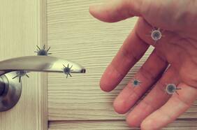 Contagiados asintomáticos con coronavirus también pueden contaminar ambientes