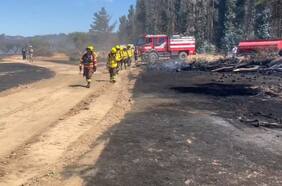 Otra vez en Peñuelas: incendio en la Región de Valparaíso pone a prueba a órganos de emergencia