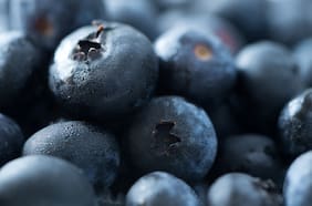 Expansión a nuevos mercados e impacto de aranceles de Trump: la proyección de la temporada de arándanos chilenos