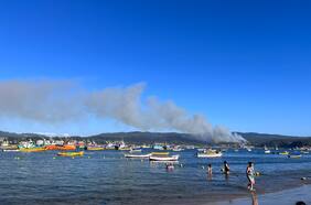 Incendio forestal en Dichato ha devastado más de 3 hectáreas de vegetación