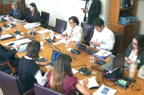 Comisión de Educación del Senado oficia al Mineduc por presencia de ratones en colegios de Valparaíso