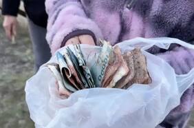 Familia enterró todos sus ahorros pero las lluvias los estropearon: así se pueden recuperar los billetes