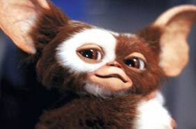 Gizmo también llegaría pronto a Multiversus