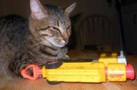 Nerf quiere que entretengan a sus gatos con su nuevo lanzador con discos de catnip