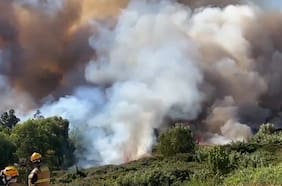 Senapred declara alerta roja en Talca por incendio forestal cercano a zonas pobladas
