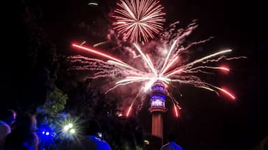 Anuncian extensión horaria del Metro de Santiago en la Línea 1 por celebraciones de año nuevo en la Torre Entel