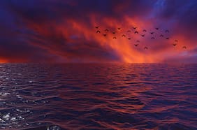 Algo extraño ocurre en el océano y estos serán los irreparables efectos en el clima